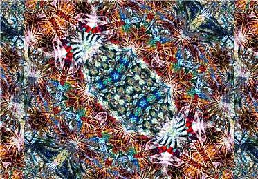 《黑发大人的晚餐》现已在Steam推出 国区38.7元